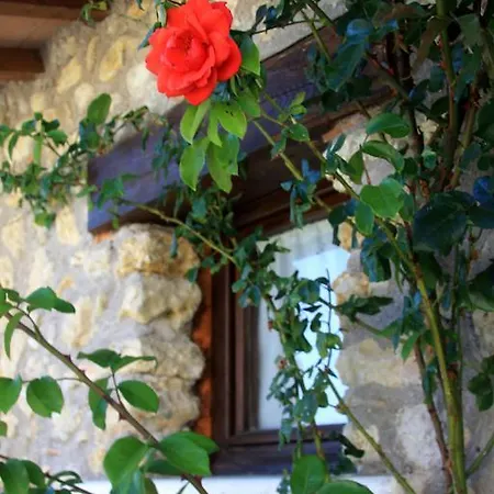 Séjour à la ferme Antico Borgo Di Vallignano Rome